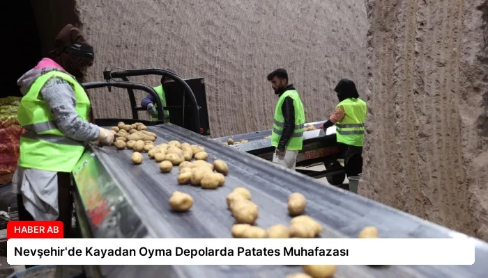 Nevşehir’de Kayadan Oyma Depolarda Patates Muhafazası