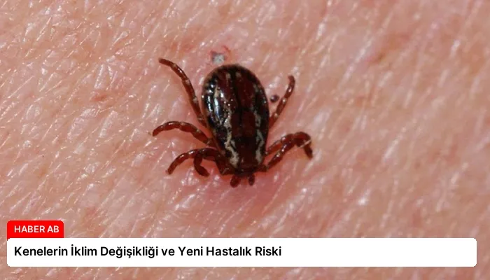 Kenelerin İklim Değişikliği ve Yeni Hastalık Riski