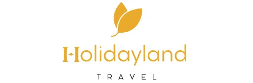 Luxury and Comfort with İstanbul Havalimanı Transfer