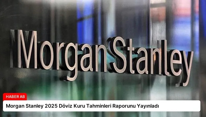 Morgan Stanley 2025 Döviz Kuru Tahminleri Raporunu Yayınladı