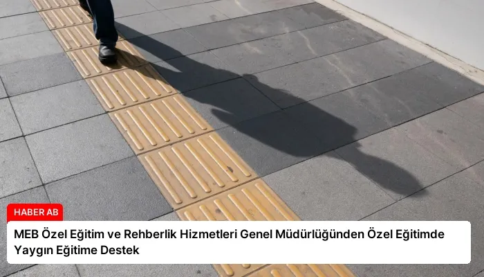 MEB Özel Eğitim ve Rehberlik Hizmetleri Genel Müdürlüğünden Özel Eğitimde Yaygın Eğitime Destek