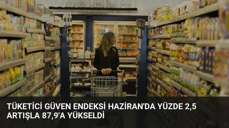 Tüketici Güven Endeksi Haziran’da Yüzde 2,5 Artışla 87,9’a Yükseldi