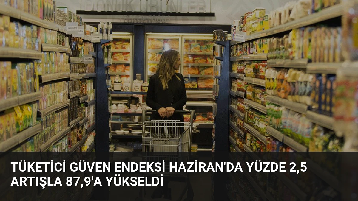 Tüketici Güven Endeksi Haziran’da Yüzde 2,5 Artışla 87,9’a Yükseldi