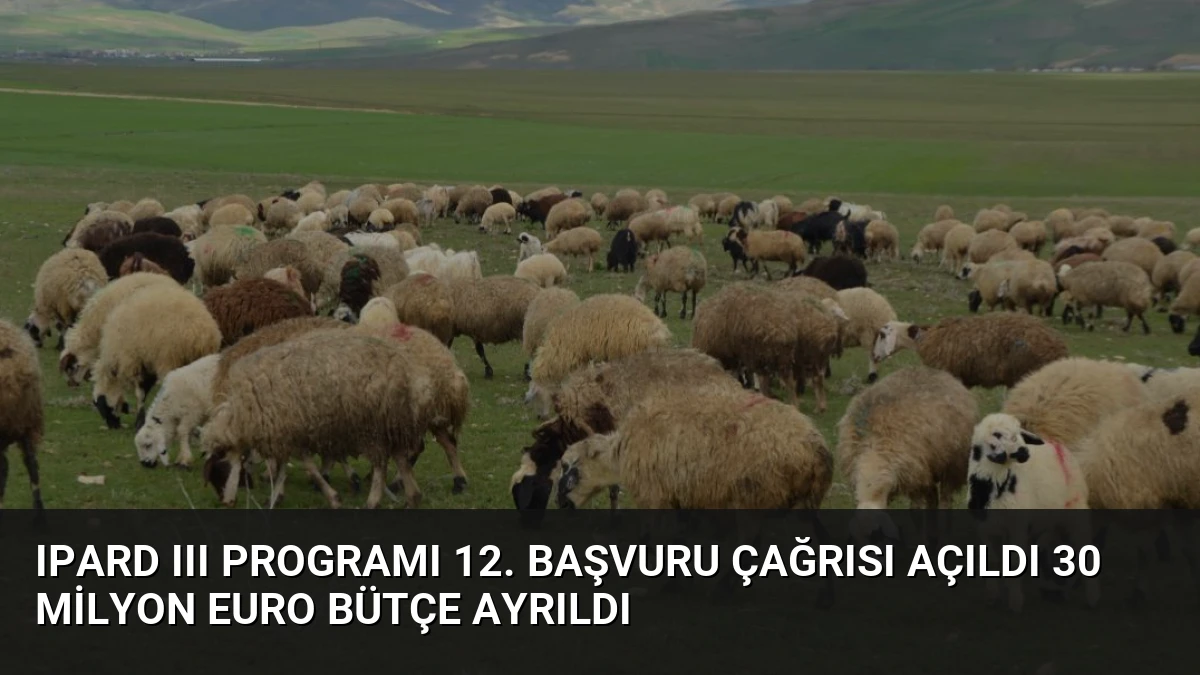 IPARD III Programı 12. Başvuru Çağrısı Açıldı 30 Milyon Euro Bütçe Ayrıldı