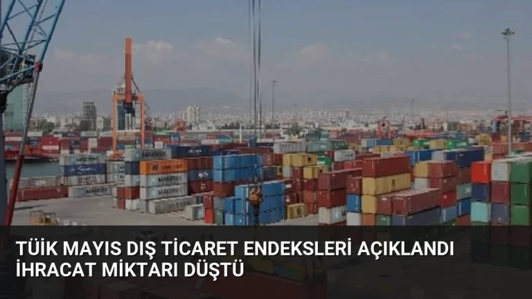 TÜİK Mayıs Dış Ticaret Endeksleri Açıklandı İhracat Miktarı Düştü