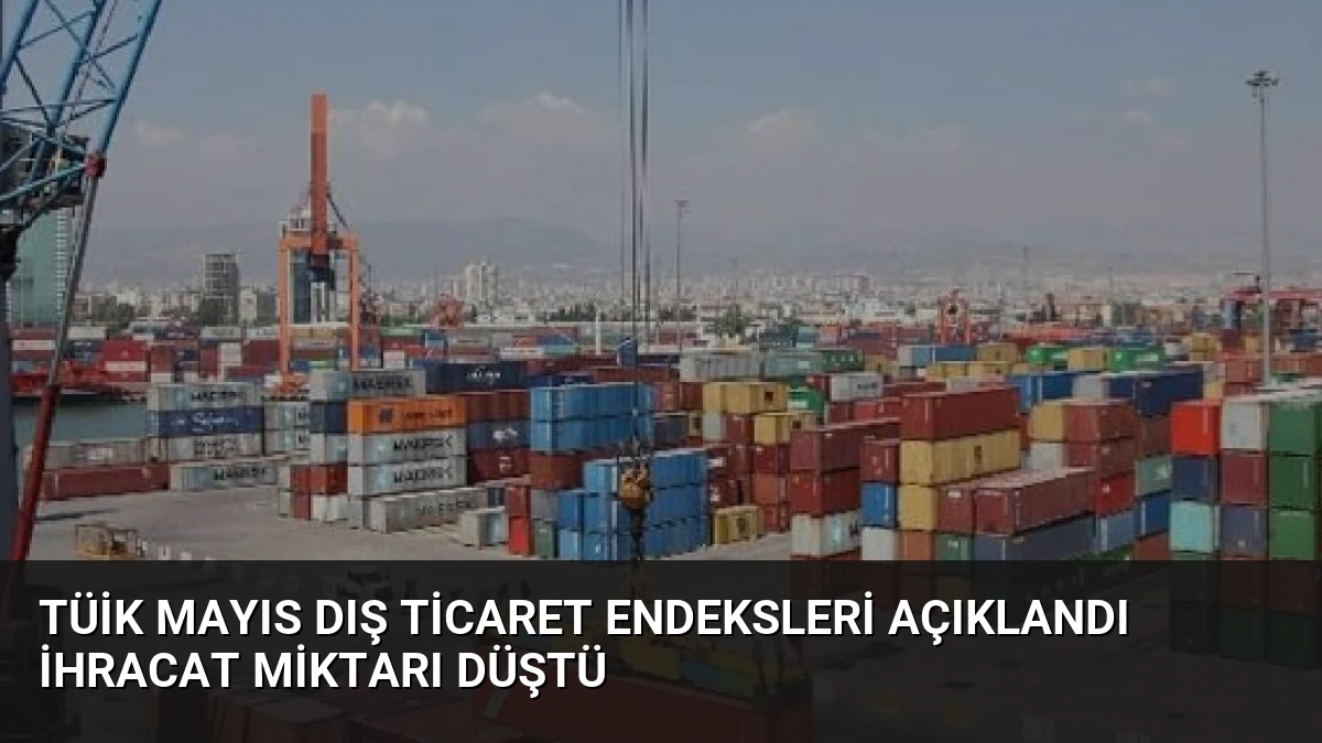 TÜİK Mayıs Dış Ticaret Endeksleri Açıklandı İhracat Miktarı Düştü