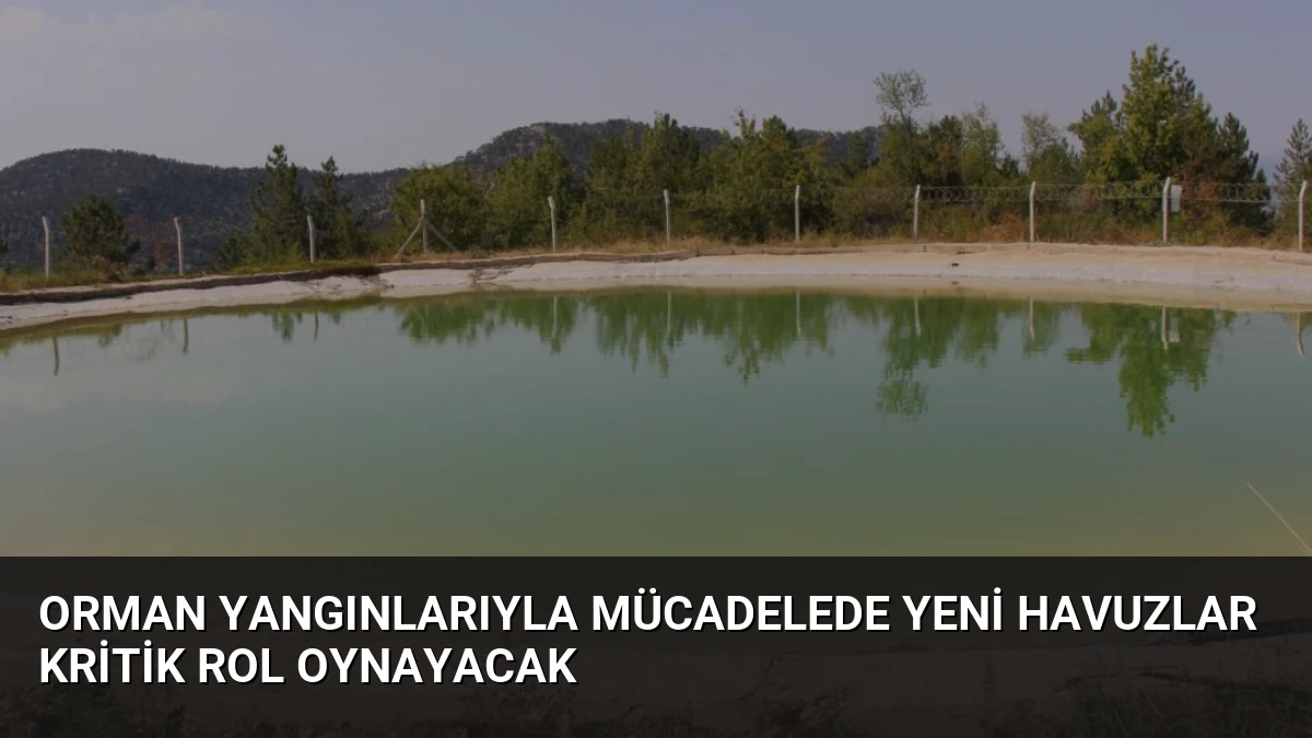 Orman Yangınlarıyla Mücadelede Yeni Havuzlar Kritik Rol Oynayacak