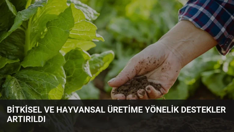 Bitkisel ve Hayvansal Üretime Yönelik Destekler Artırıldı