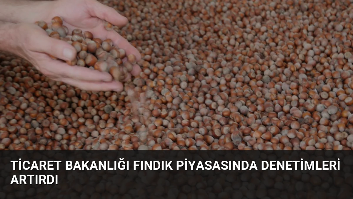 Ticaret Bakanlığı Fındık Piyasasında Denetimleri Artırdı